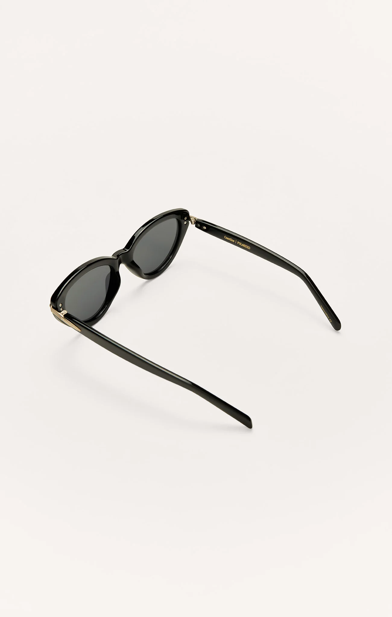 Coastline Polarized Sunglasses - Image 10