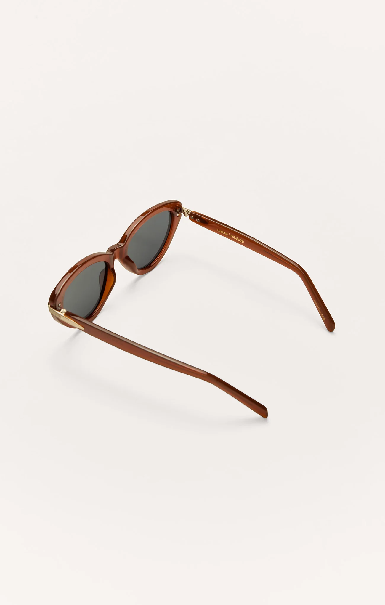 Coastline Polarized Sunglasses - Image 16