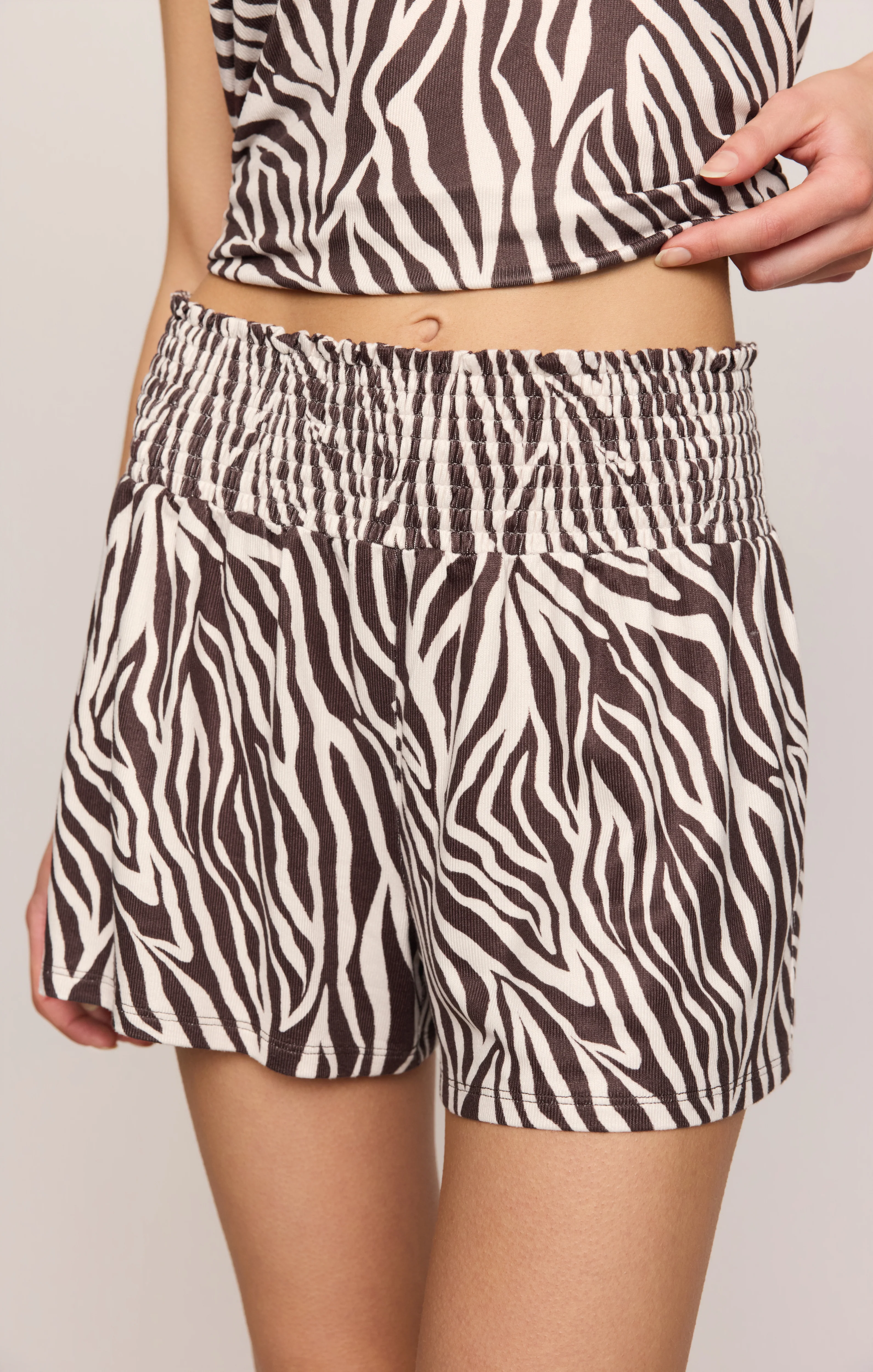 Zebra Set - Image 7